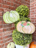 Beck's Autumn Feast Pumpkin, 2 Color Options by The Round Top Collection